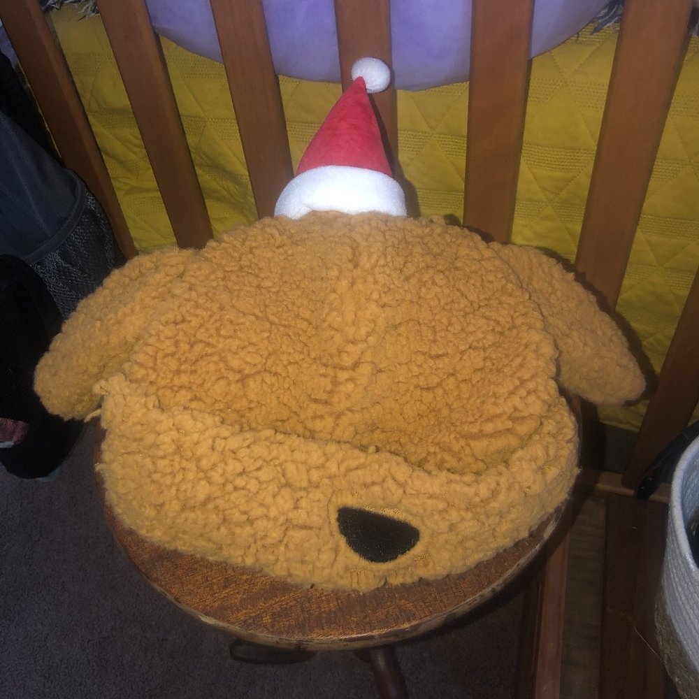 American Eagle Xmas Dog Hat